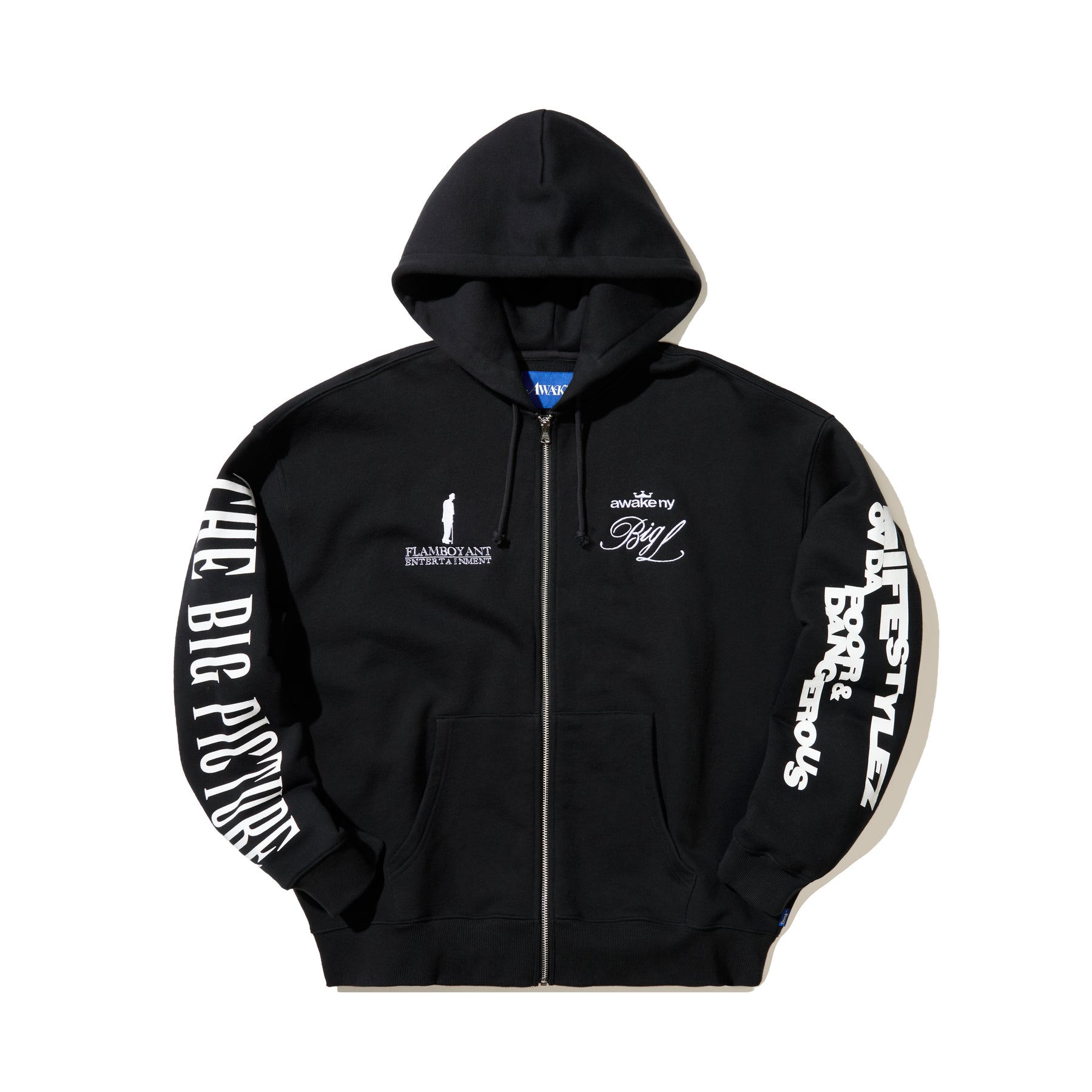 The Big Picture Zip Hoodie