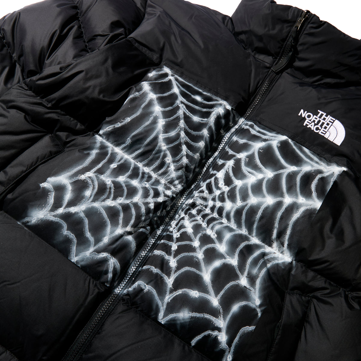 AWAKE x THE NORTH FACE x ALEHSY (SPIDER WEB W/ BBOY SLEEVE)