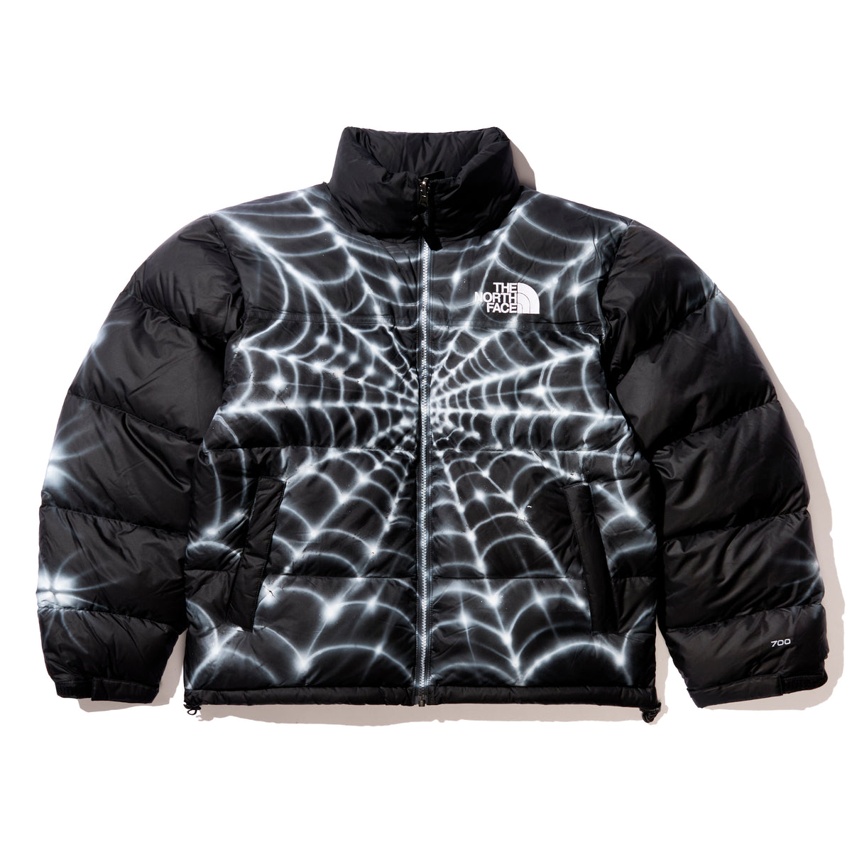 AWAKE x THE NORTH FACE x ALEHSY (SPIDER WEB)