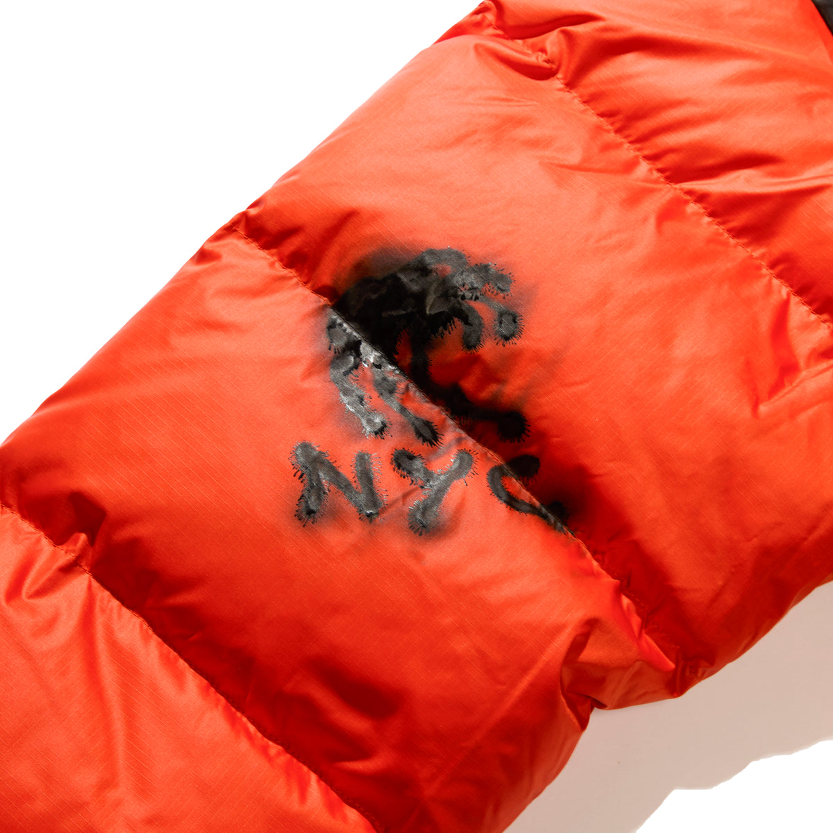 AWAKE x THE NORTH FACE x ALEHSY (SPIDER WEB)