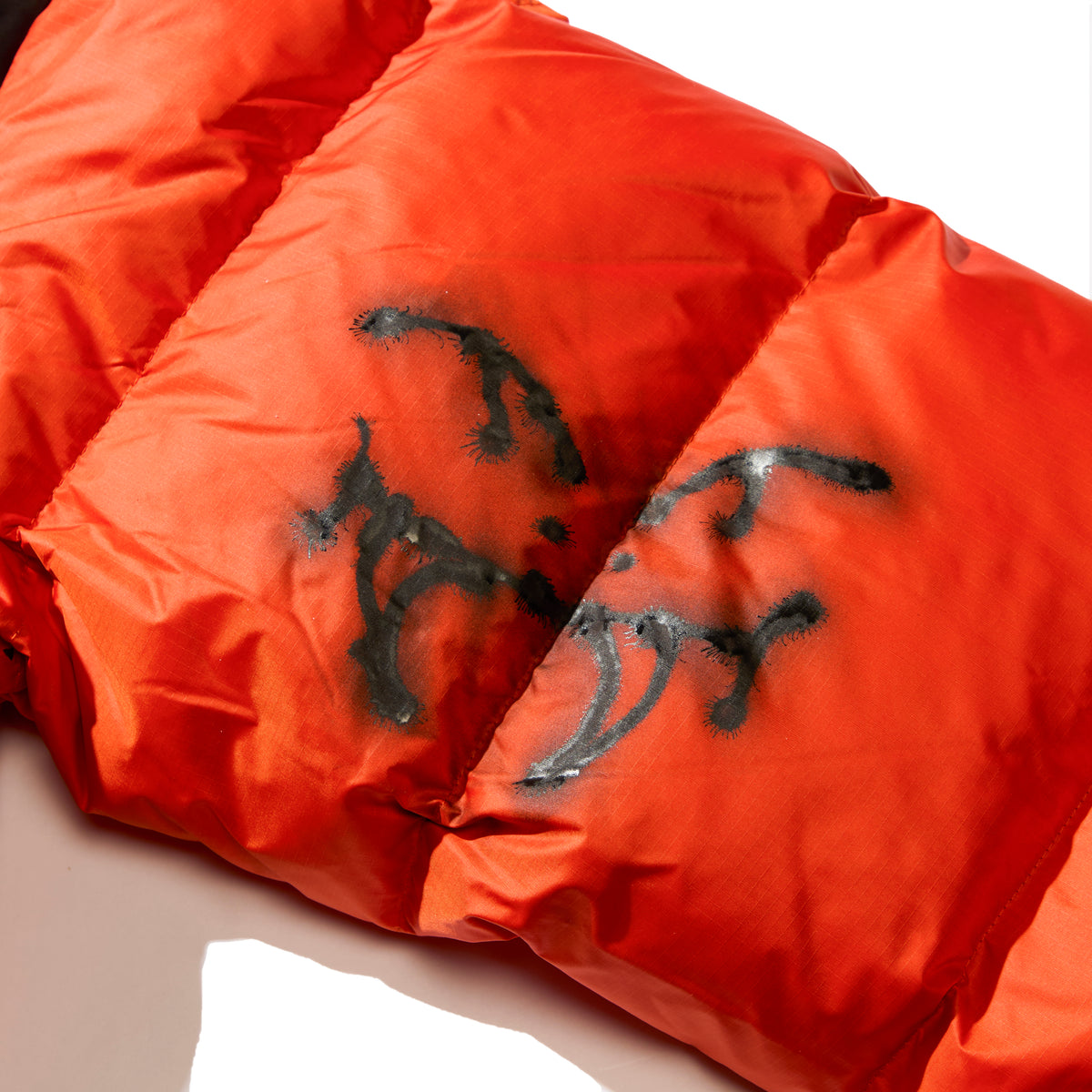 AWAKE x THE NORTH FACE x ALEHSY (SPIDER WEB)