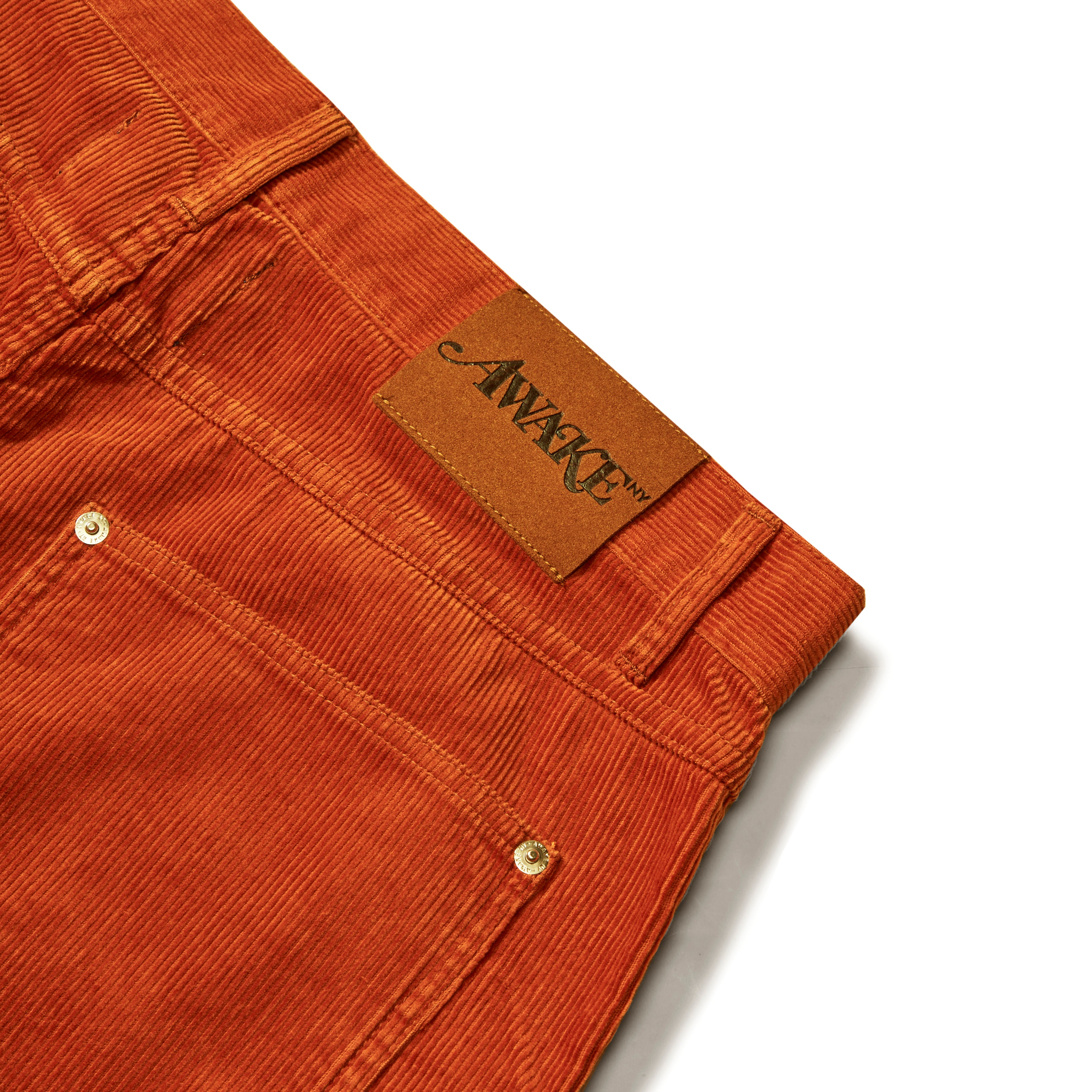 Corduroy Painter Short