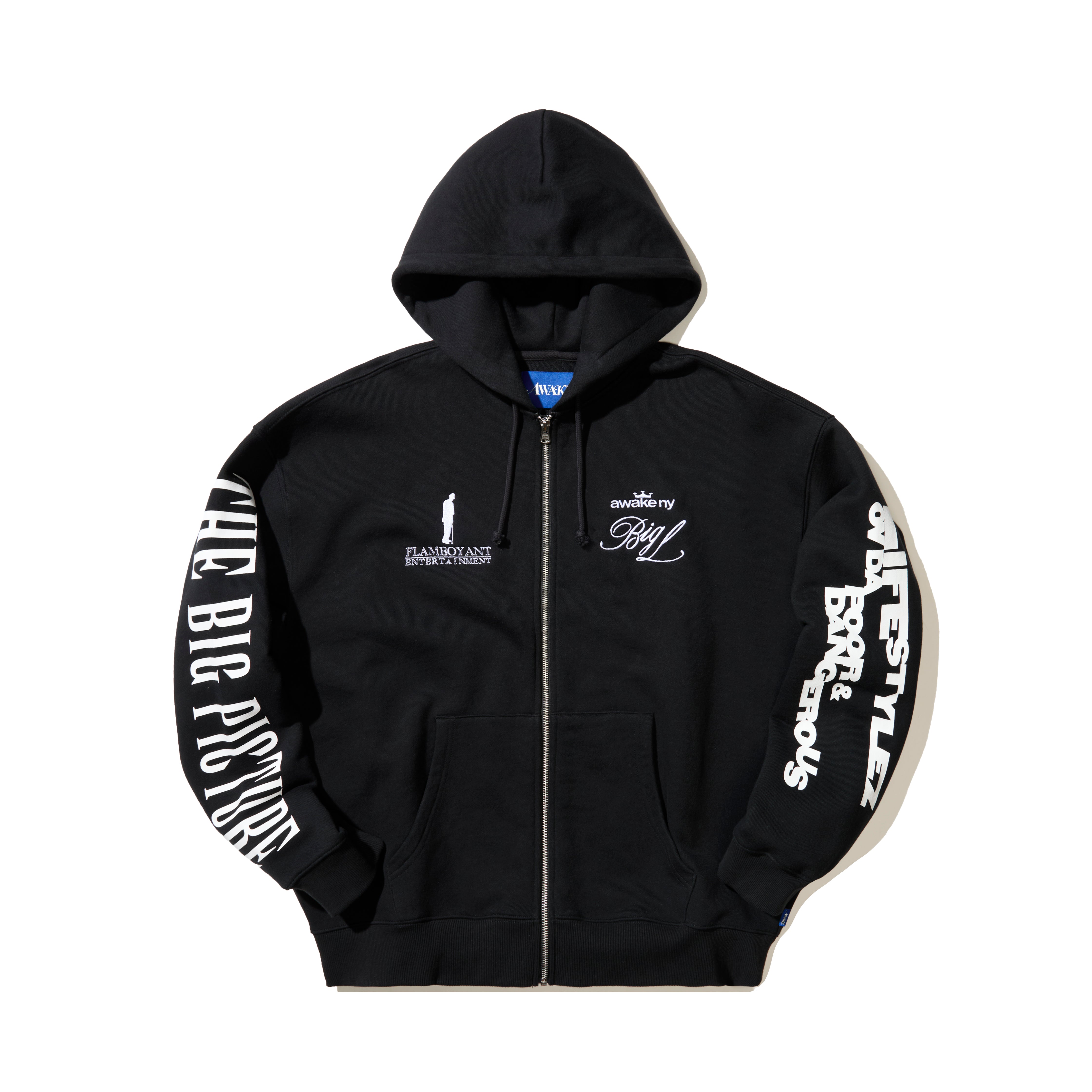 The Big Picture Zip Hoodie – Awake NY
